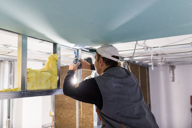 Best Fiberglass Insulation in Romulus, MI