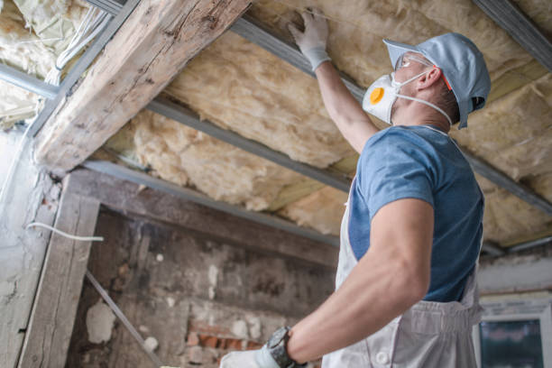 Best Insulation Maintenance and Repair in Romulus, MI