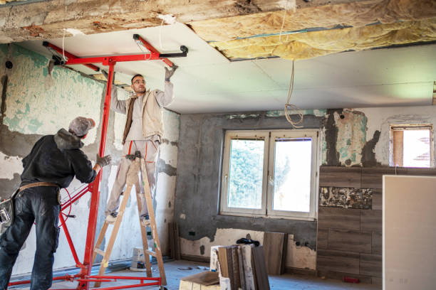 Best Cellulose Insulation in Romulus, MI