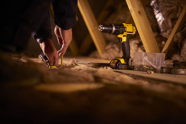 Best Geographic-Specific Insulation Services in Romulus, MI