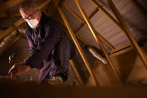 Best Specialized Insulation Services in Romulus, MI