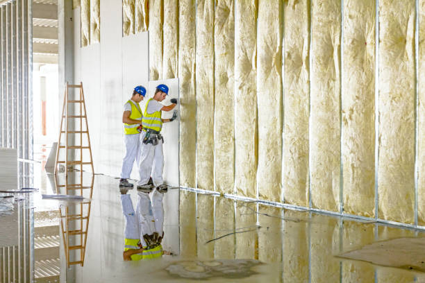 Best Insulation for Specific Applications in Romulus, MI